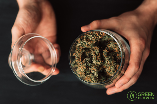 7 Tips for Landing a Job as a Budtender | Green Flower News