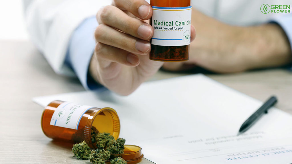 medical cannabis with doctor