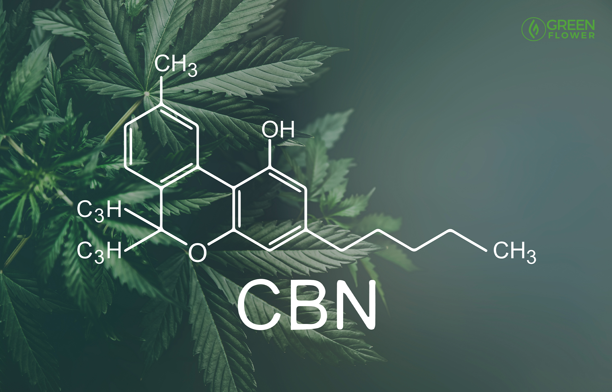 Getting To Know CBN (Cannabinol) - Green Flower News