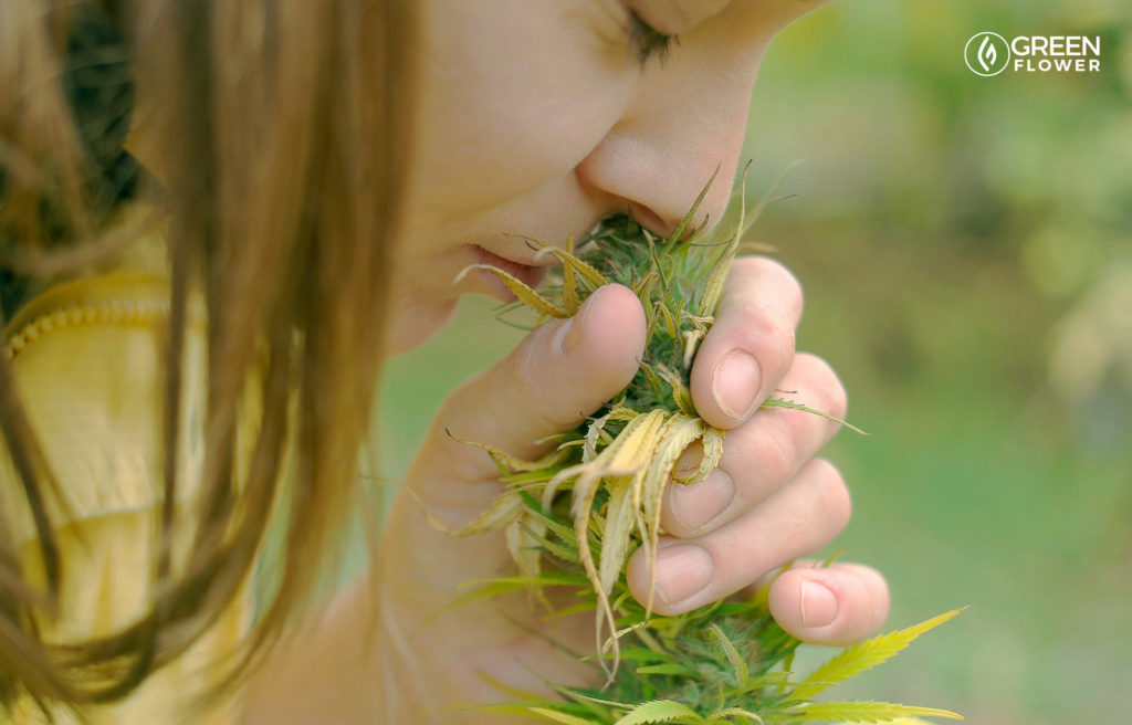 woman smelling a live cannabis flower