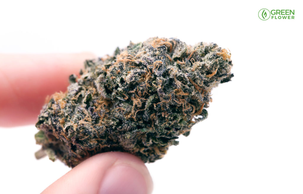 cannabis nug held in fingers