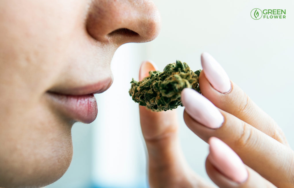 woman smelling cannabis nug