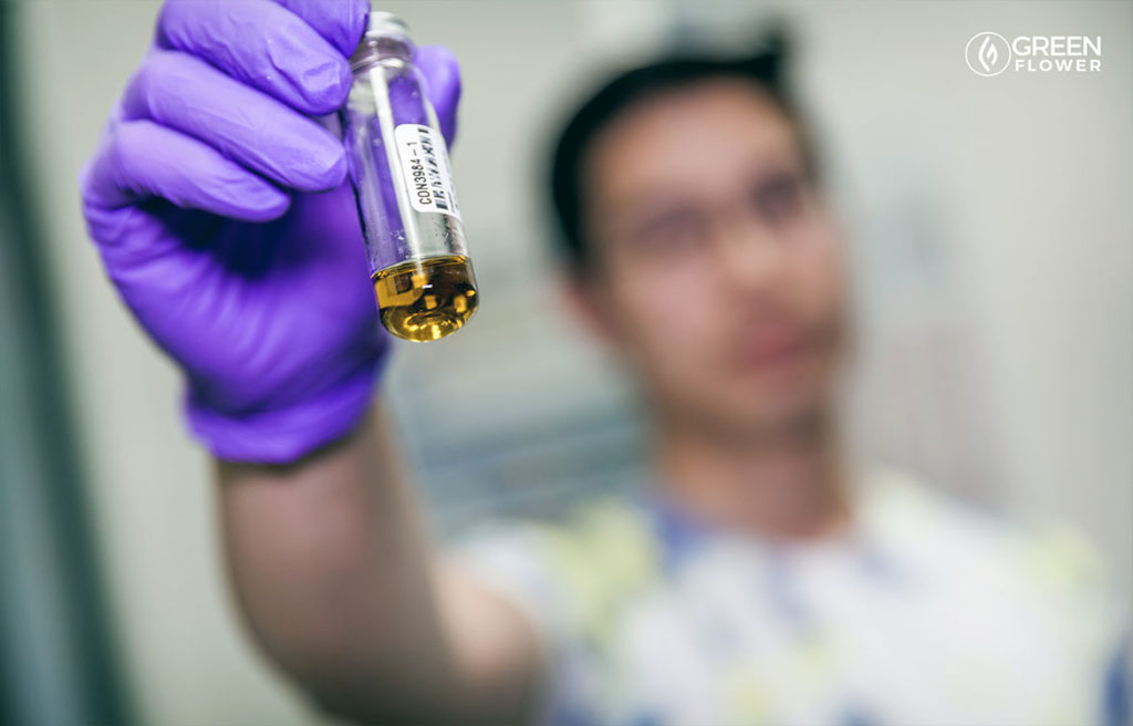 man holding cannabis lab test tube