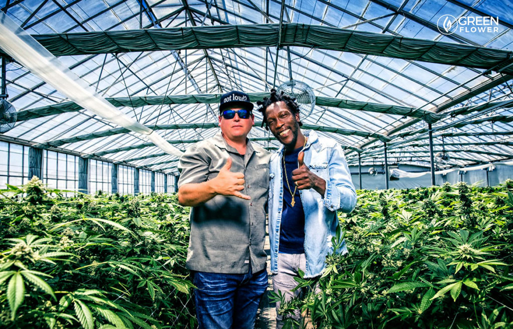 james loud cannabis grow green house