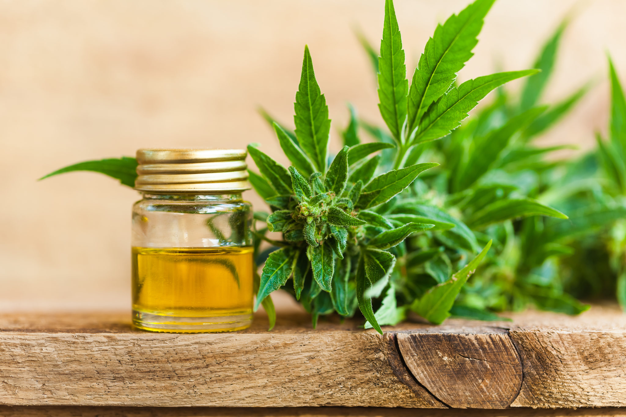 Cbd And Cbda What’s The Difference And Which Is Best For Me Green Flower News